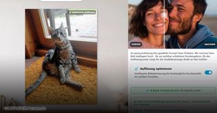 Artikel MyPoster: Neuer KI-Konfigurator im Praxischeck