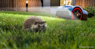 Artikel Navimow: Tiererkennung und Nachtabschaltung zum Schutz von Wildtieren