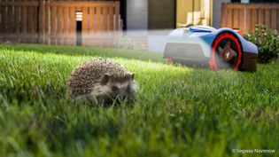 Artikel Navimow: Tiererkennung und Nachtabschaltung zum Schutz von Wildtieren