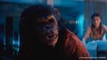 Primate – Film-Kritik: Wenn der beste Freund zum schlimmsten Alptraum wird