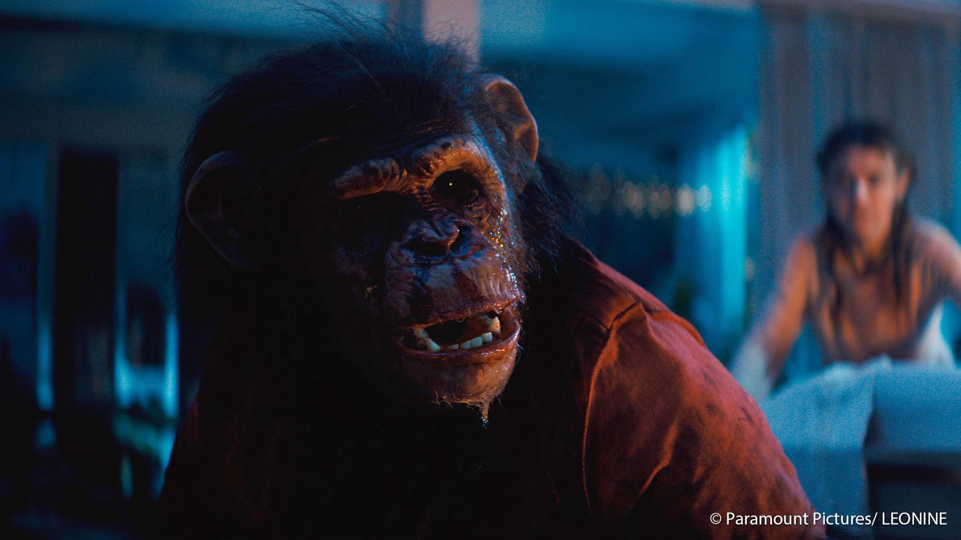 Artikel: Primate – Film-Kritik: Wenn der beste Freund zum schlimmsten Alptraum wird