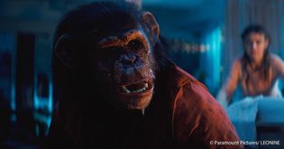 Artikel Primate – Film-Kritik: Wenn der beste Freund zum schlimmsten Alptraum wird