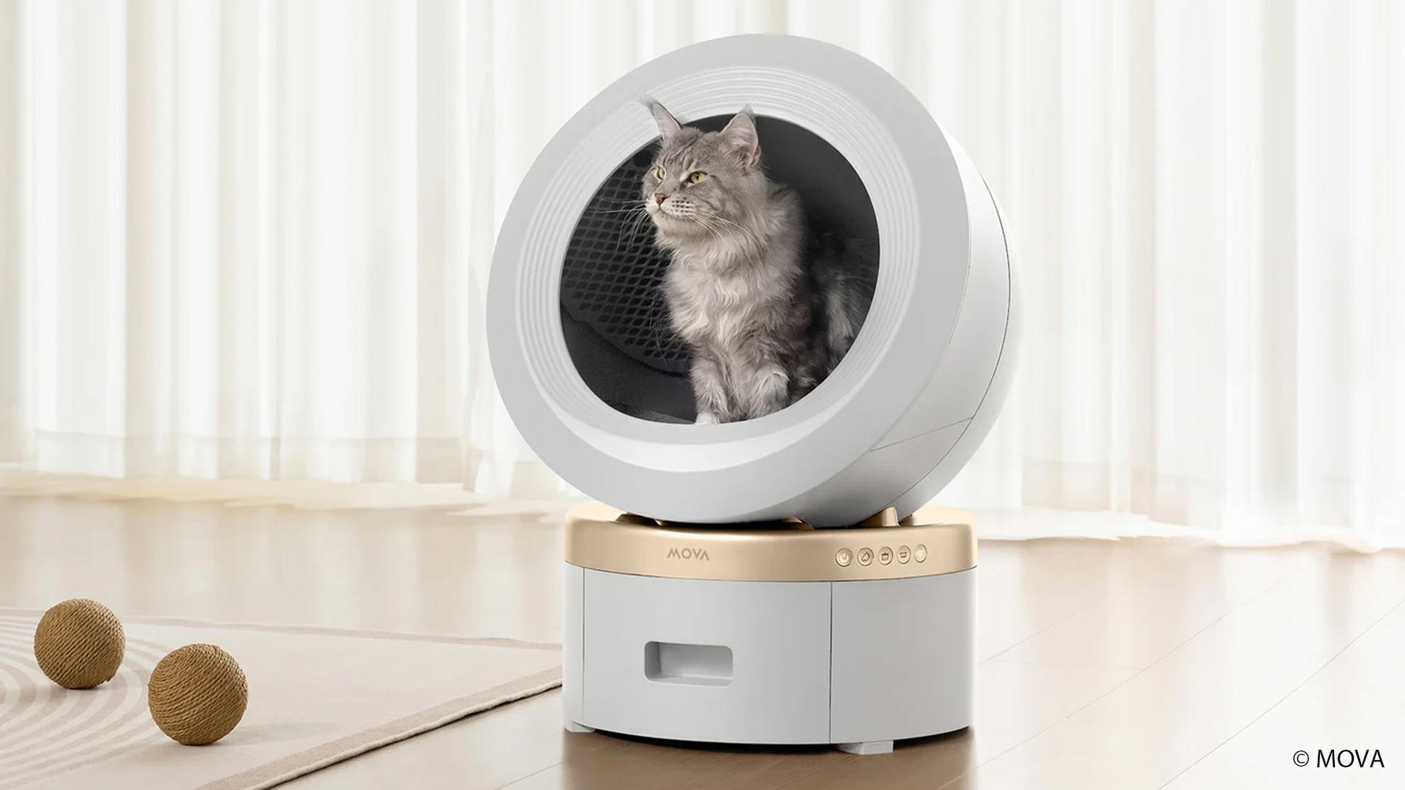 Artikel: MOVA LR10 Prime im Test: Das Katzenklo der Zukunft