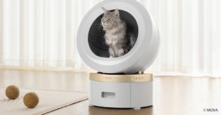 Artikel MOVA LR10 Prime im Test: Das Katzenklo der Zukunft