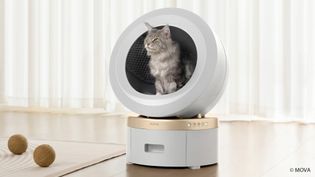 Artikel MOVA LR10 Prime im Test: Das Katzenklo der Zukunft