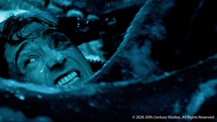 Artikel Whalefall: Erster zum Survival-Thriller im Bauch eines Pottwals