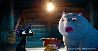 Artikel Gatto: Erster Teaser zu Pixars wohl außergewöhnlichsten Film