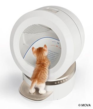 Artikel MOVA LR10 Prime im Test: Das Katzenklo der Zukunft