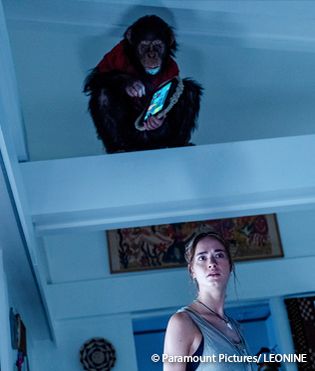 Artikel Primate – Film-Kritik: Wenn der beste Freund zum schlimmsten Alptraum wird