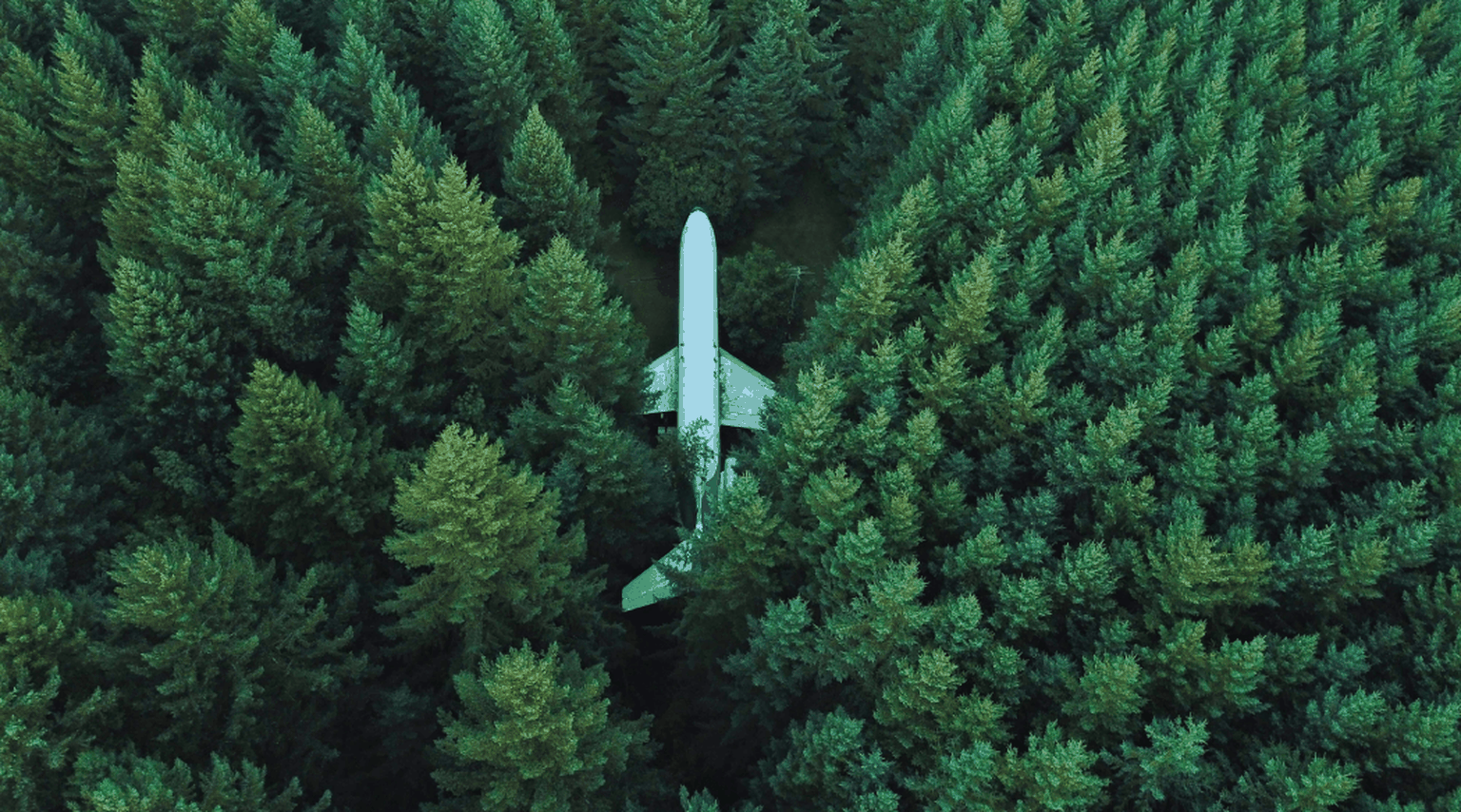 hvem-er-det-mest-miljovenlige-selskab