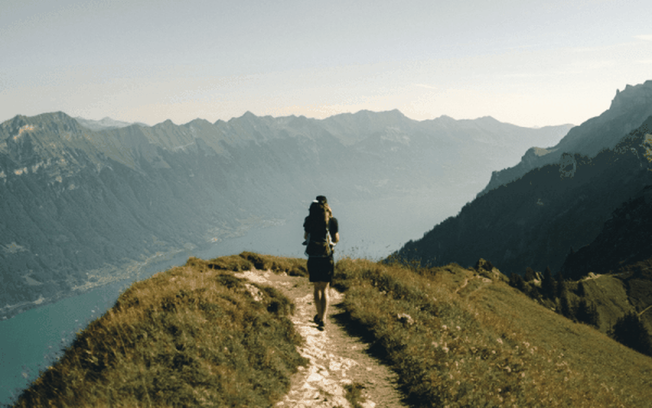 joel-jasmin-forestbird-znol1m6md_k-unsplash