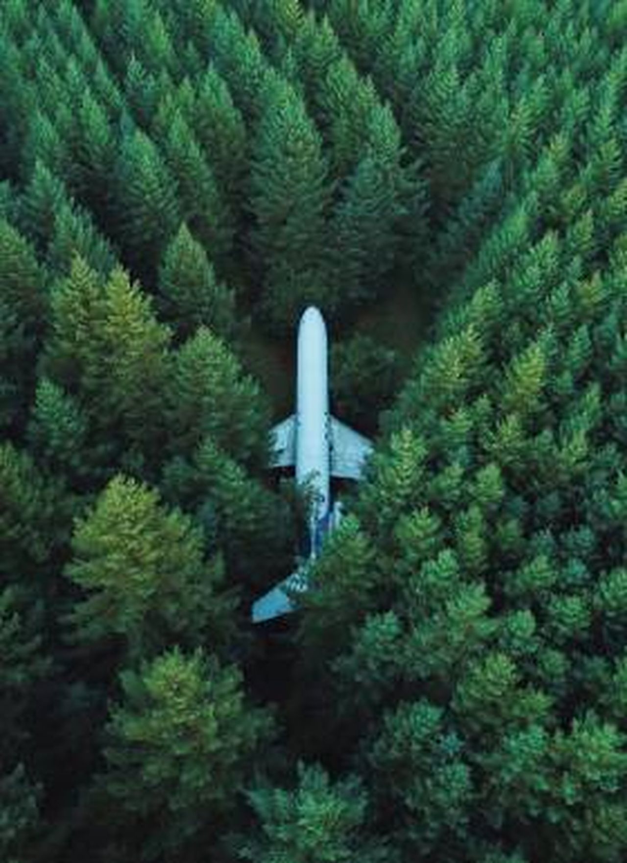 blog-flyselskaber-fejl