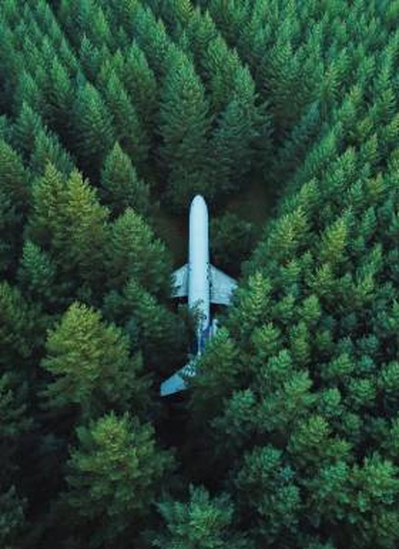 blog-flyselskaber-fejl