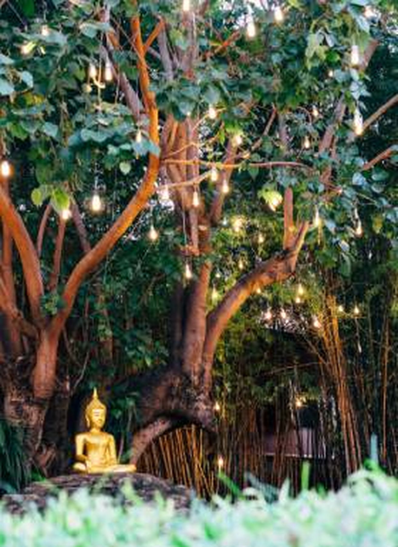 forside-blog-honeymoon