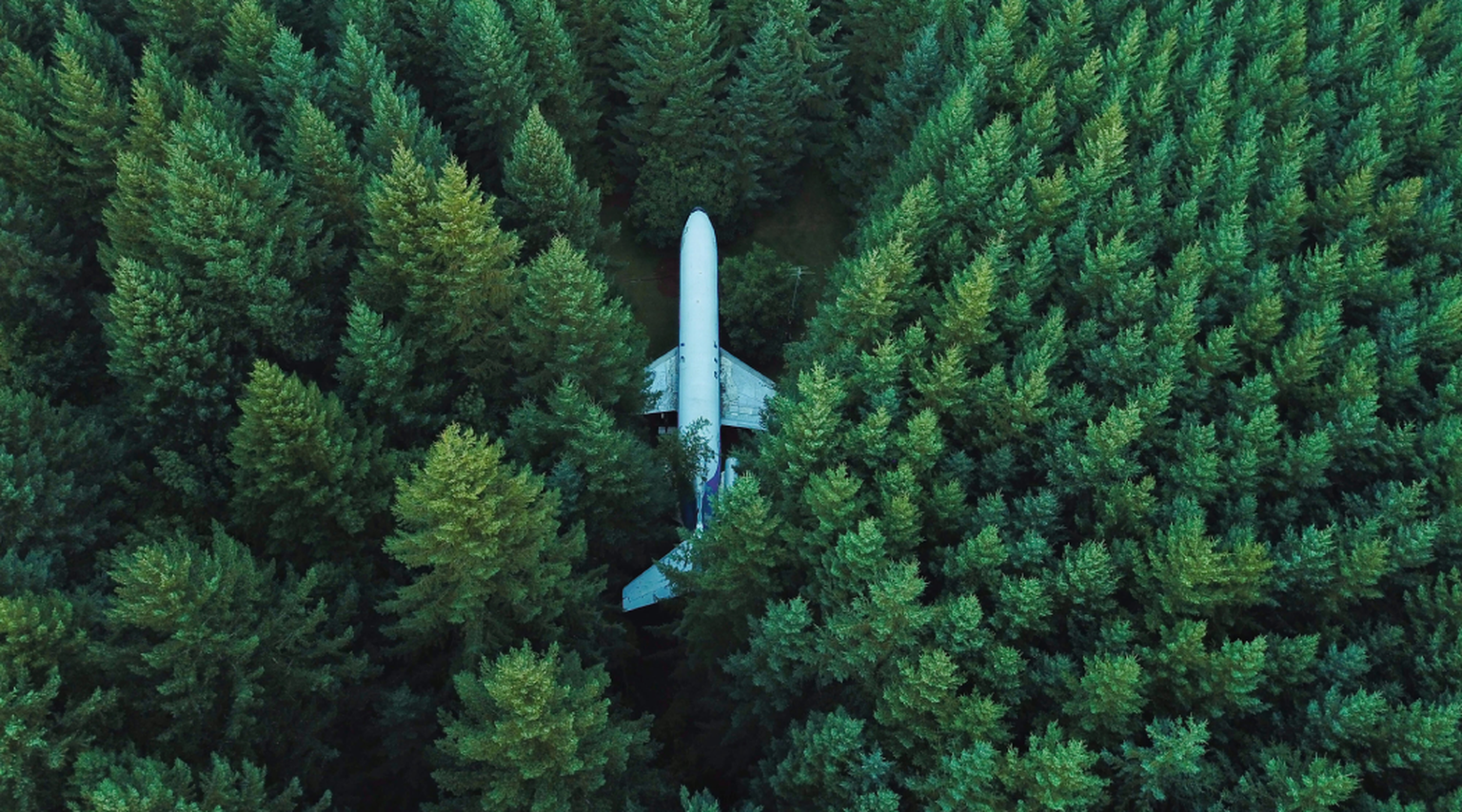 hvem-er-det-mest-miljovenlige-selskab