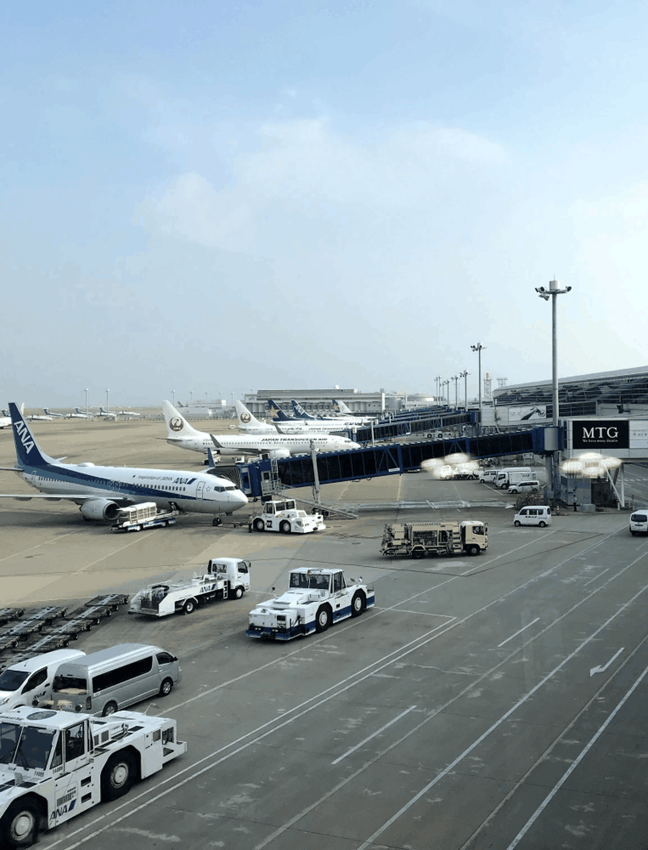 prognose-for-flytrafikken1