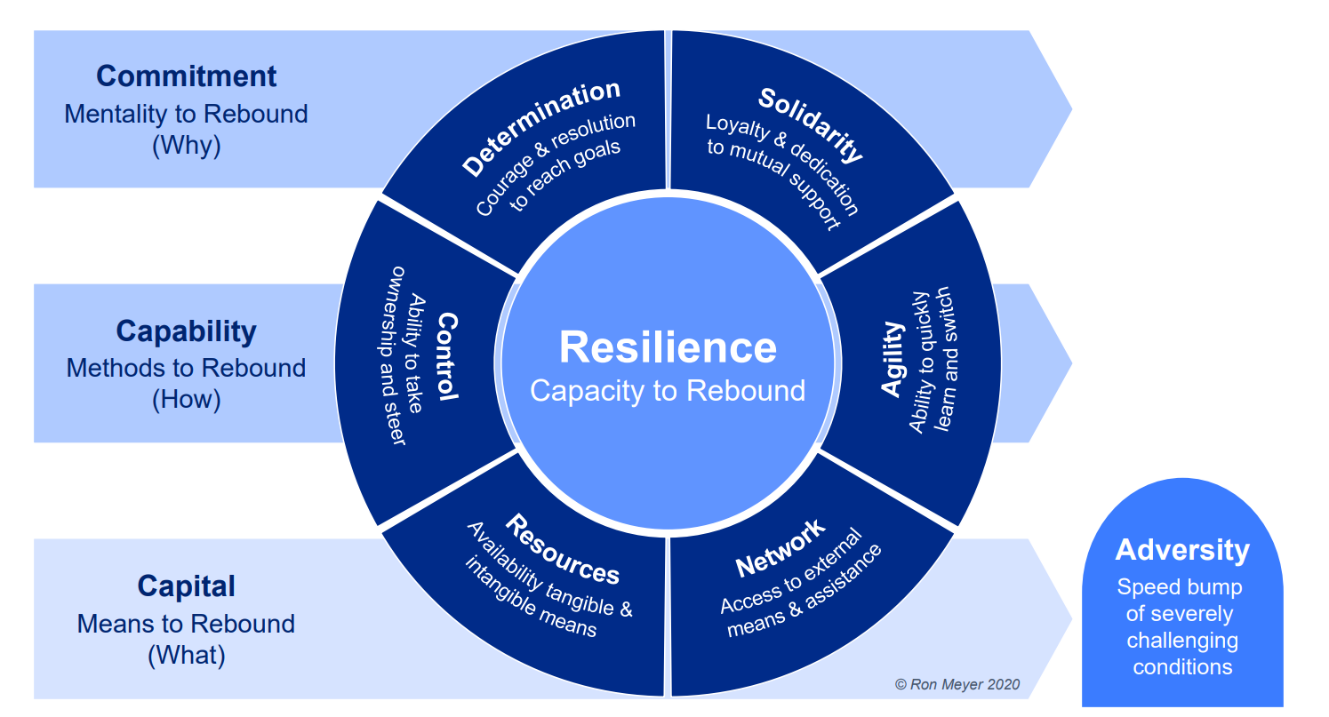 Infographic illustrating resilience with sections on commitment, capability, capital, determination, solidarity, control, resources, agility, and network.