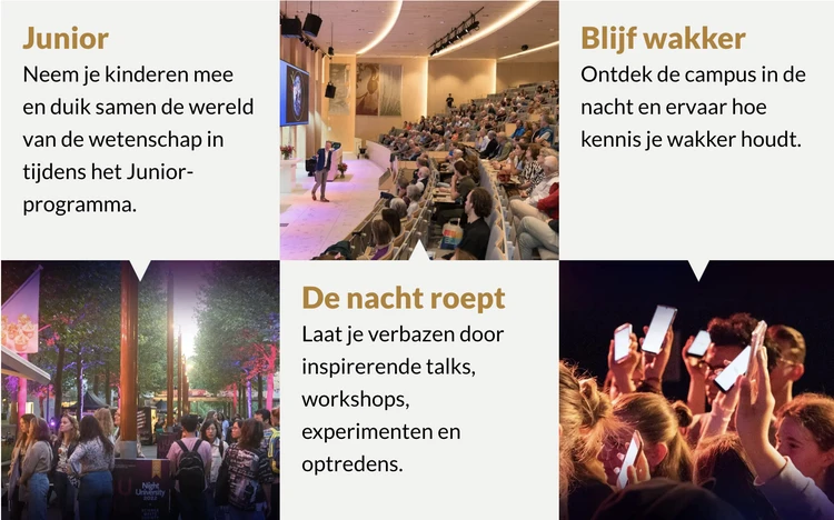 night university 2026