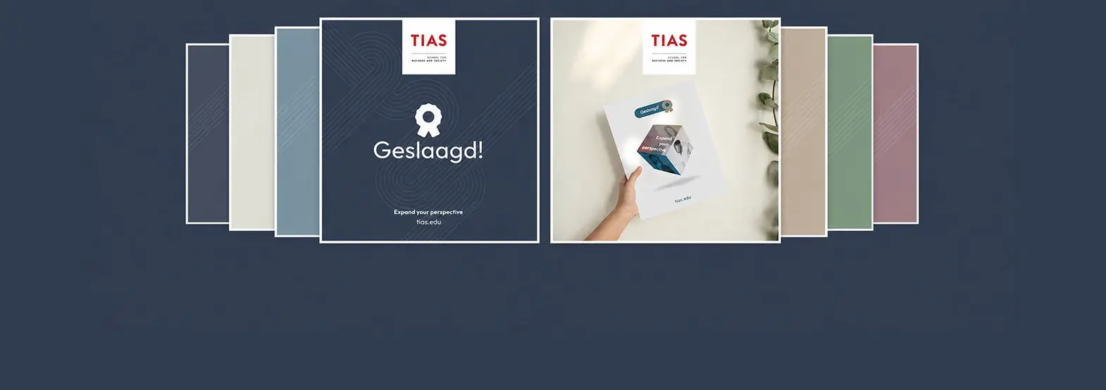 A hand holds a TIAS folder labeled "Geslaagd!" with "Expand your perspective" text, surrounded by layered background designs.