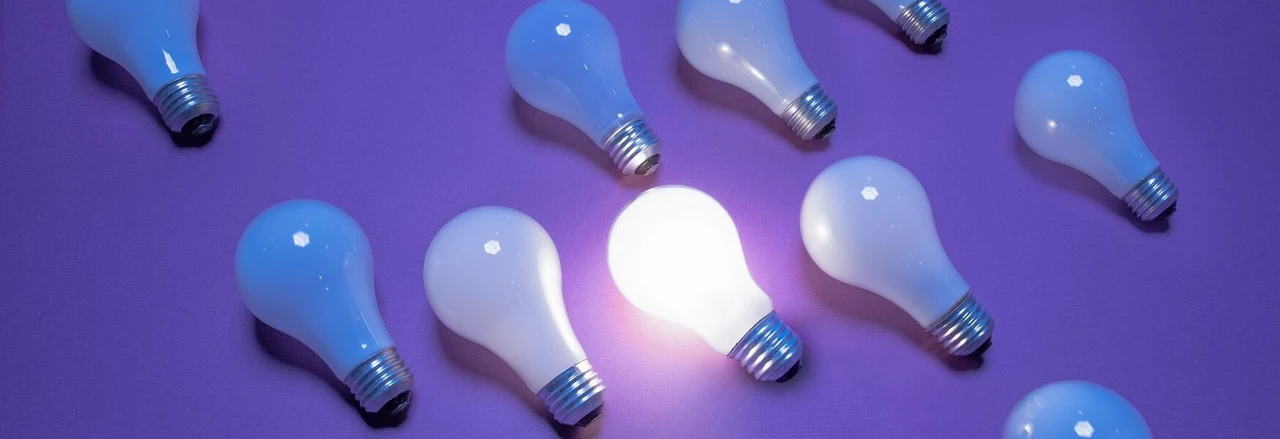 verankeringsfase organisatieverandering