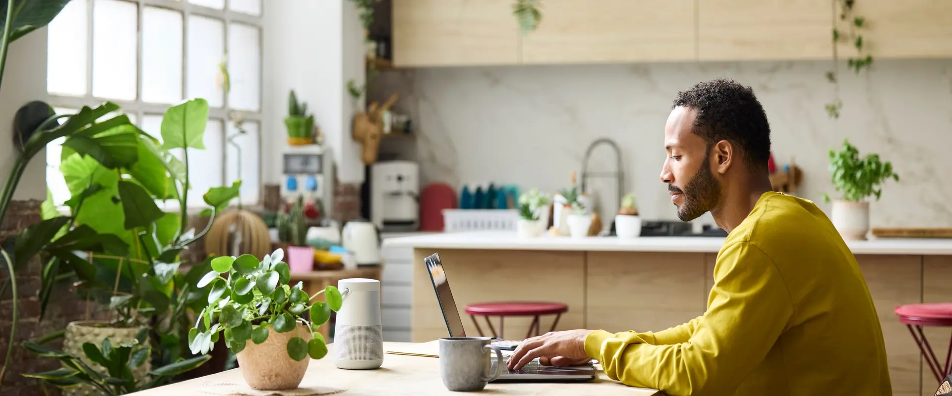Man in yellow sweater working on laptop at a kitchen table, surrounded by plants, with a modern kitchen in the background.