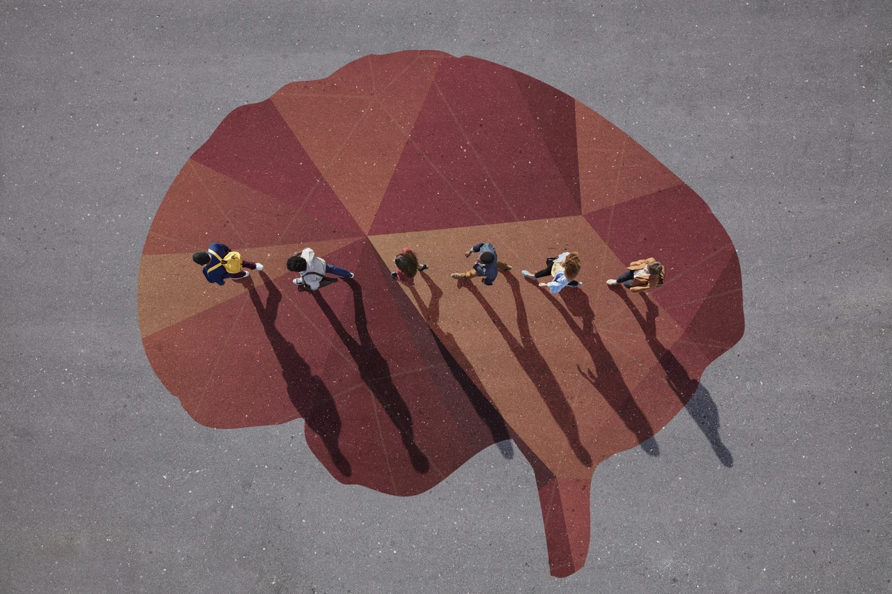People walking across a painted brain design on pavement, casting long shadows in the sunlight.