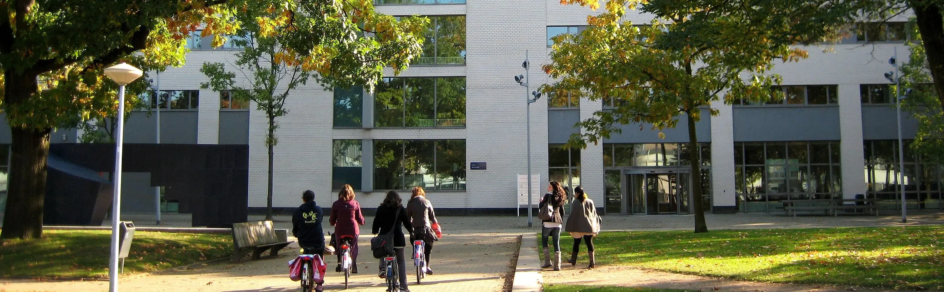 tias tilburg small