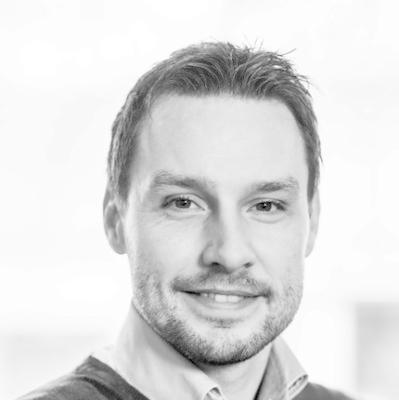 Prof. dr. ir. Michel van der Borgh