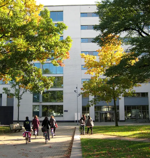 People walk and cycle on a tree-lined path leading to a modern, multi-story building in sunlight.