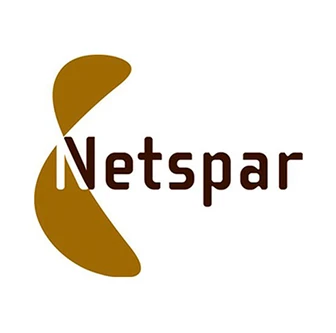 Logo featuring the word "Netspar" in brown text with a stylized, curved shape on the left in a matching brown color.