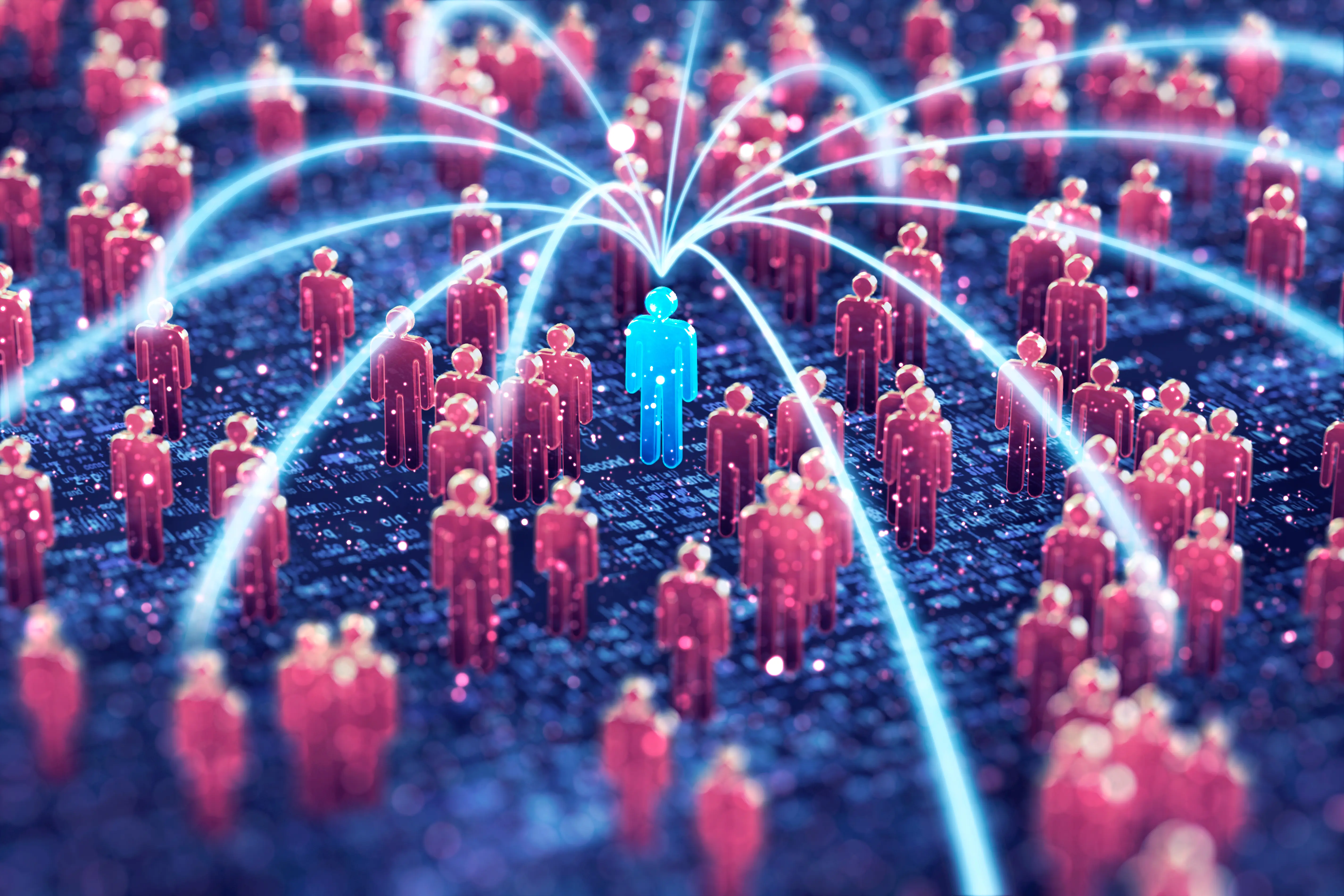 network