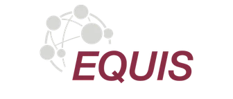 Equis Logo