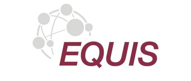 Equis Logo