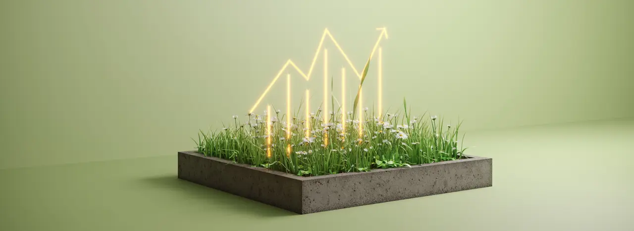 Sustainable investement