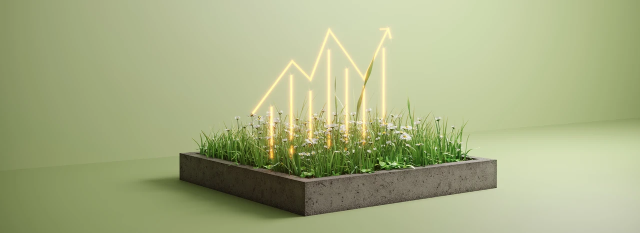 Sustainable investement