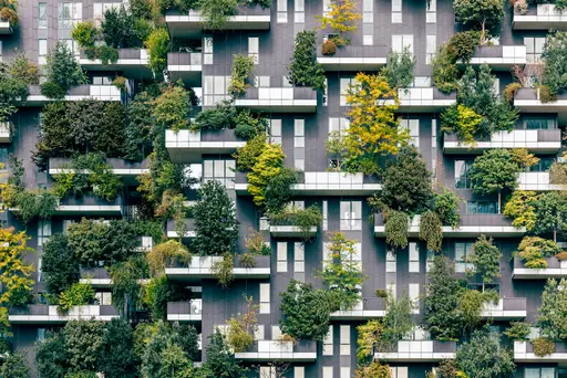 Sustainable investement