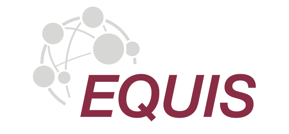 Equis Logo