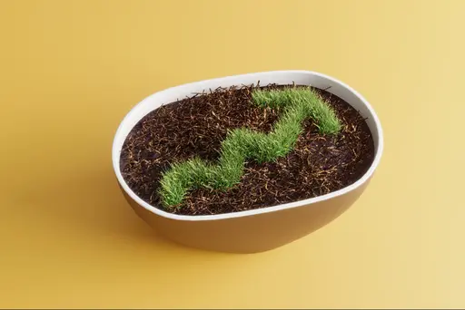 Grass growing in the shape of an upward trend arrow in a bowl filled with soil, set against a yellow background.