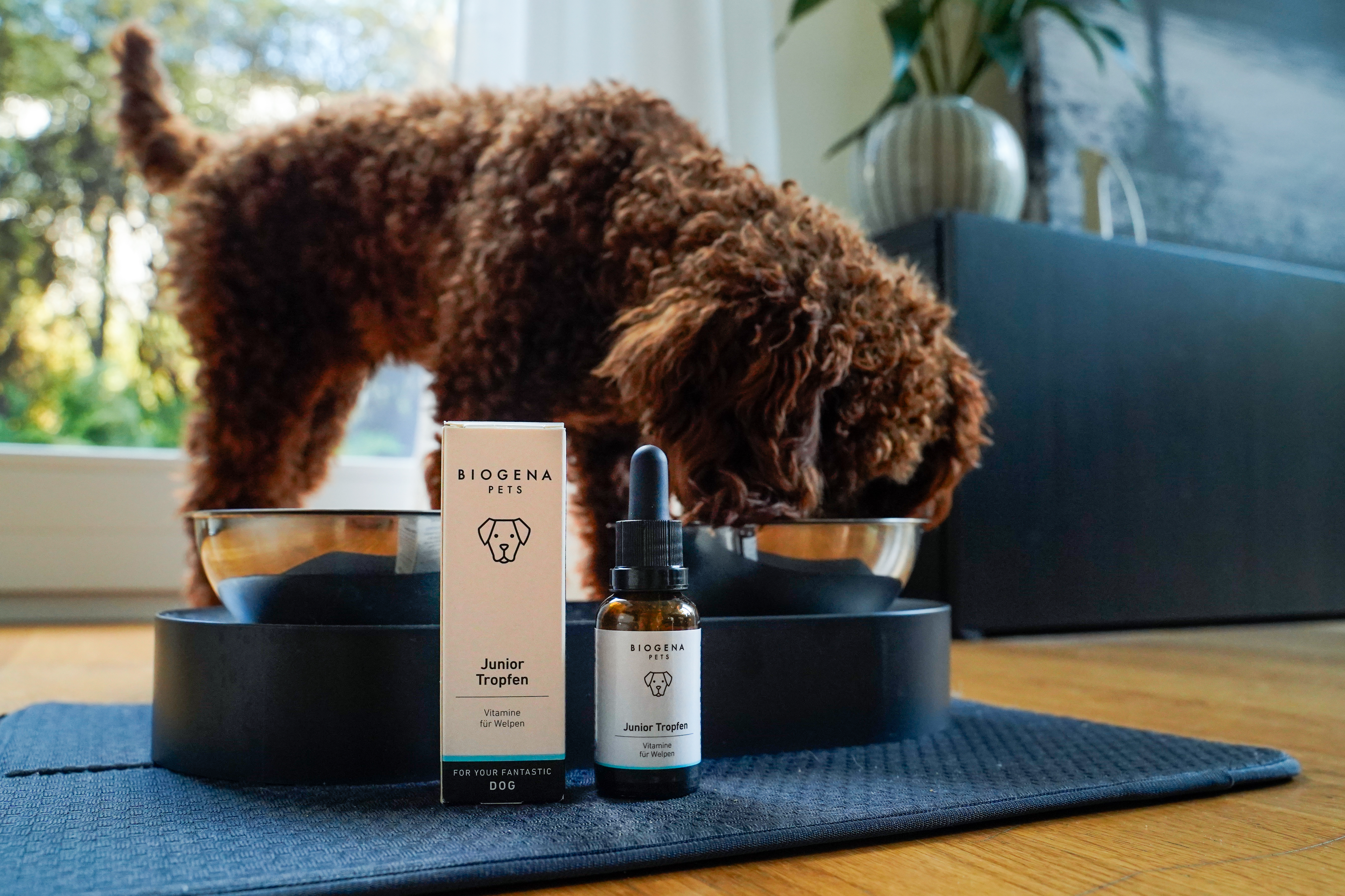 Testsieger Lachsöl für Hunde ▻ Das beste Lachsöl im Test | BIOGENA Pets  Österreich, image size:5342x3561