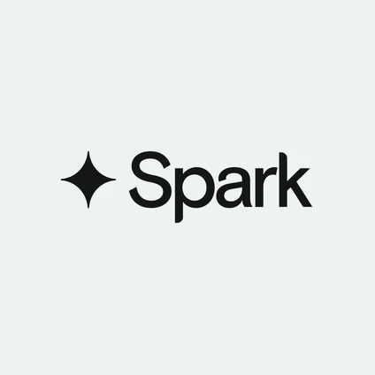 The image shows the word "Spark" in black text next to a stylized black star icon on a light gray background.