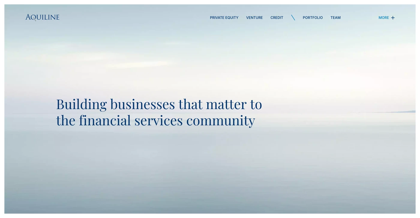 Image of Aquiline Capital Partners - Top VCs in Series C