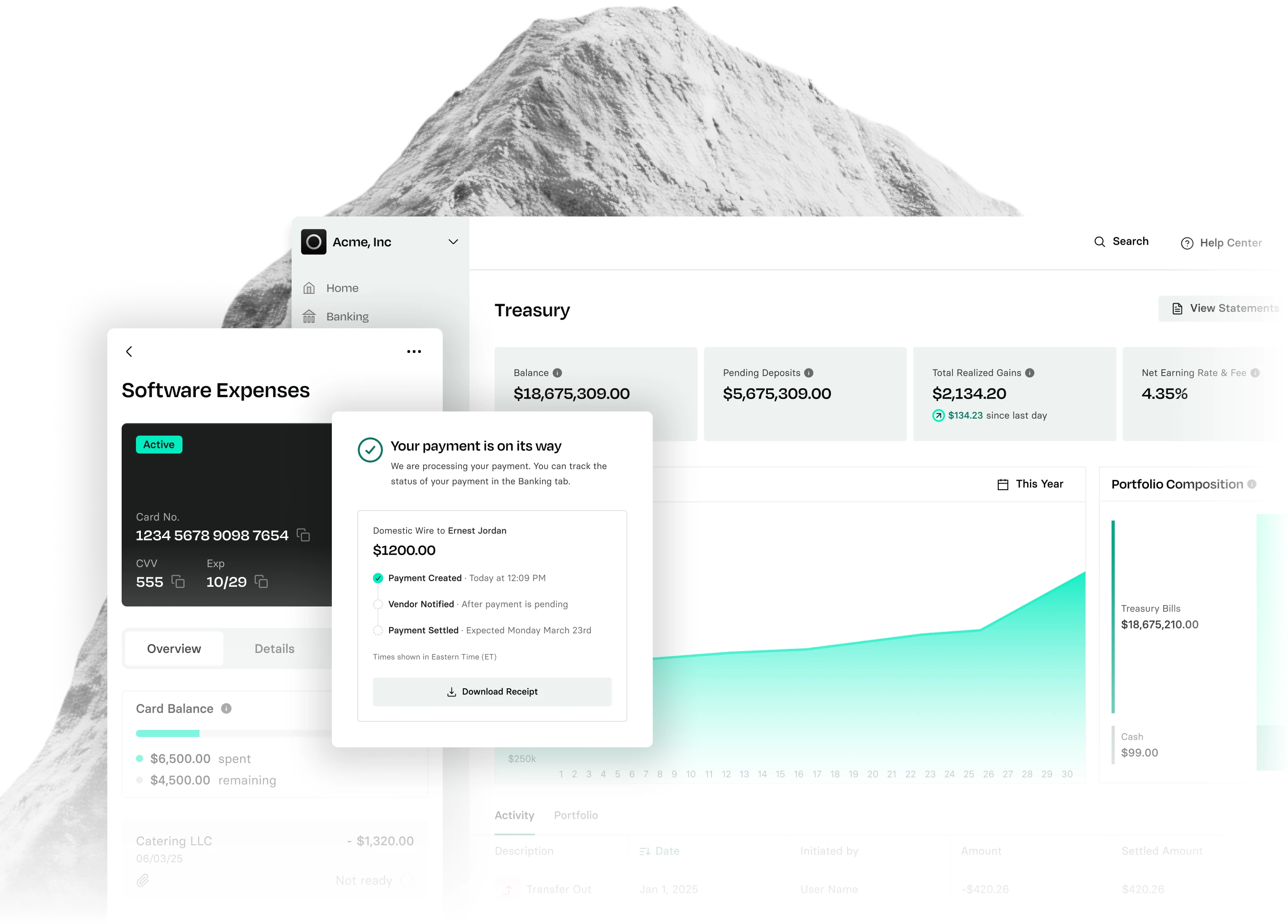Dashboard interface showing financial data, including software expenses, treasury details, payment confirmation, and a graph of earnings over time.