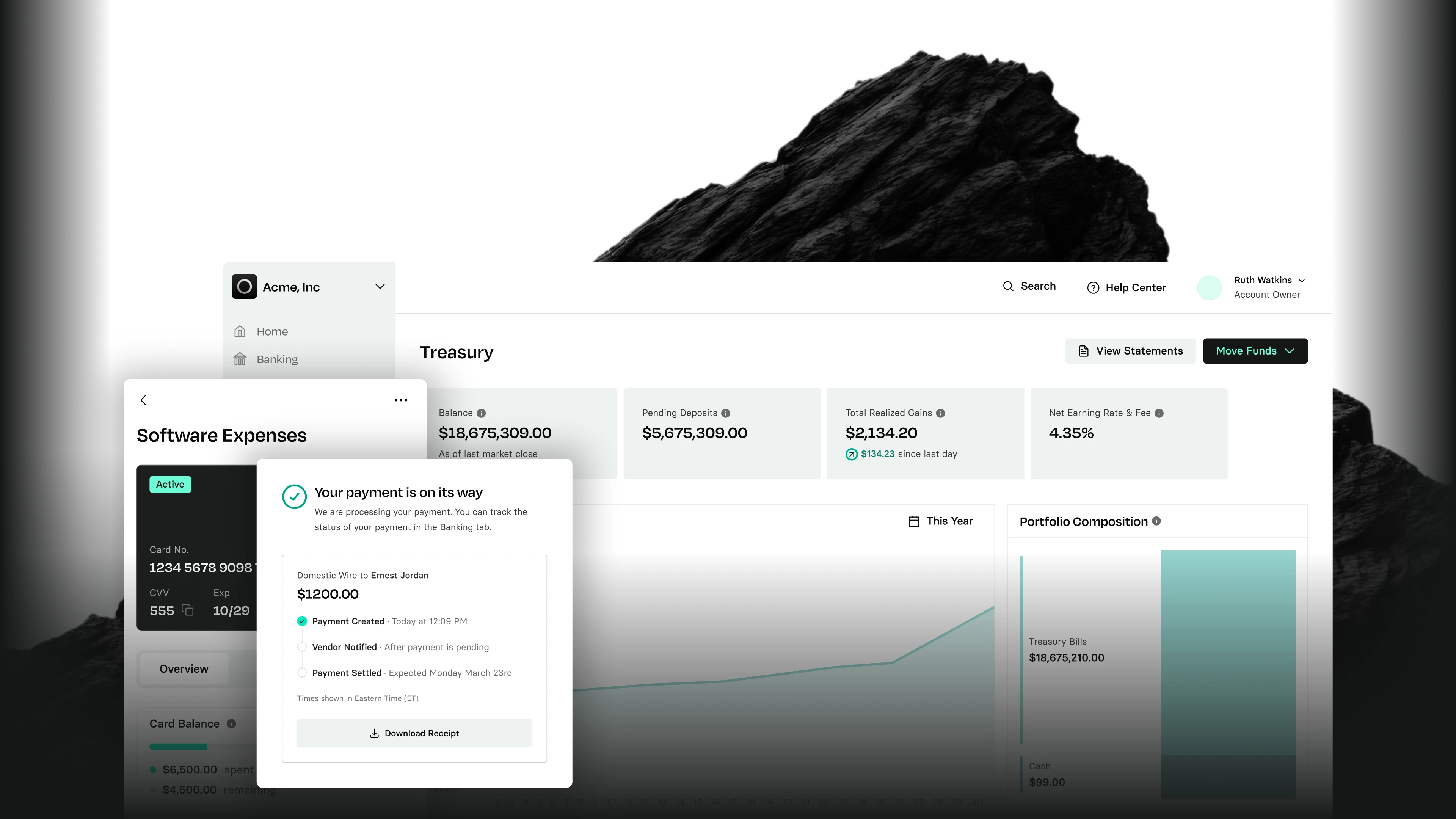 Dashboard with financial data, including software expenses, payment status, and portfolio composition. Features charts and transaction details.