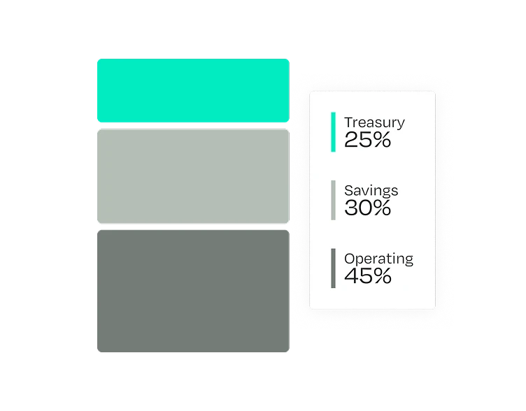A vertical bar chart with three colored segments: Treasury 25%, Savings 30%, Operating 45%, with corresponding percentages on the side.