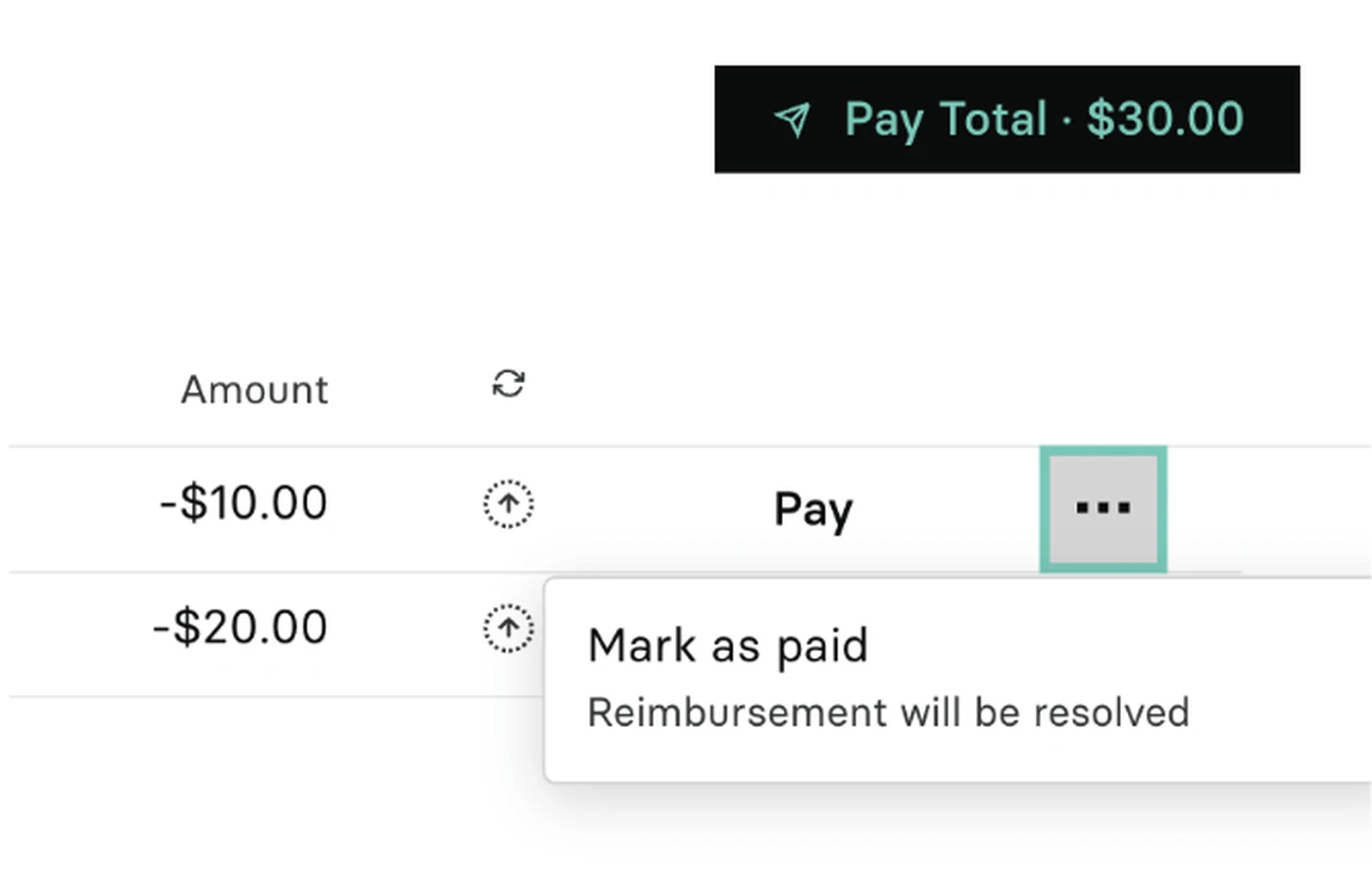 Payment interface showing a total of $30.00. Options to pay or mark as paid for $10.00 and $20.00 amounts are visible.