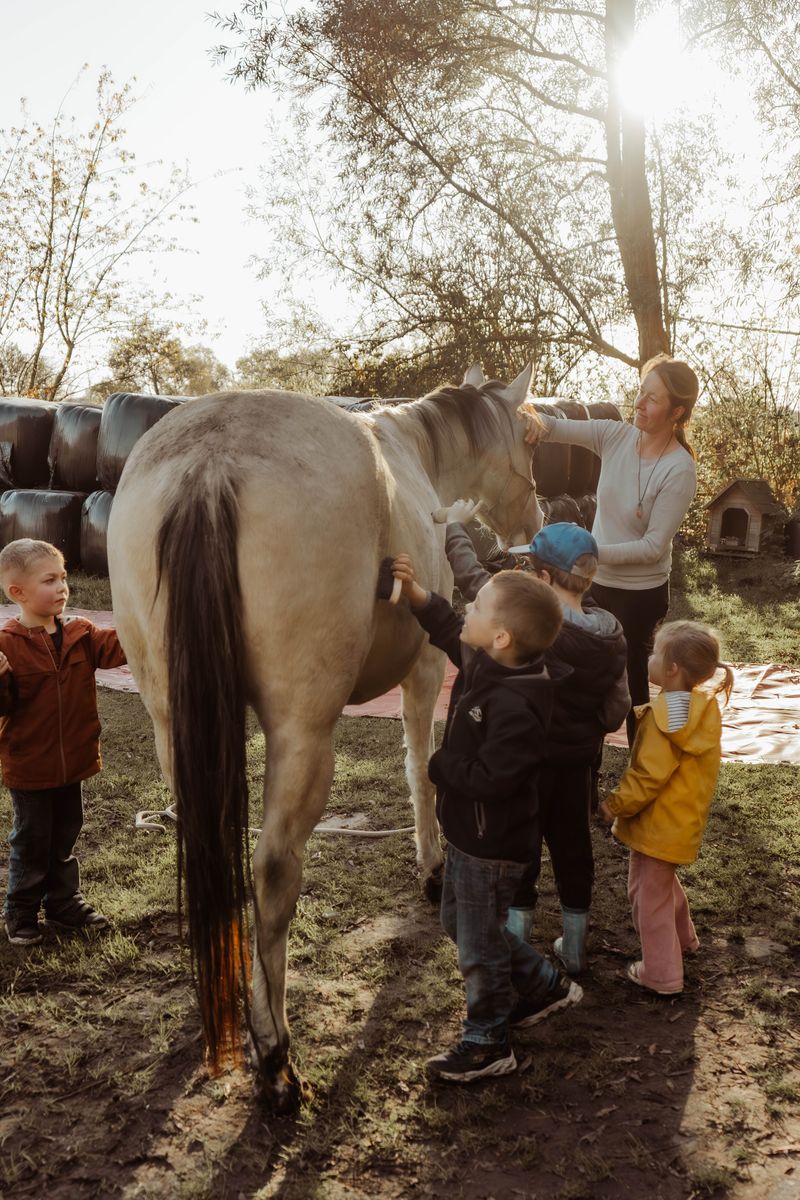 Paardencoach Chloé Deridder