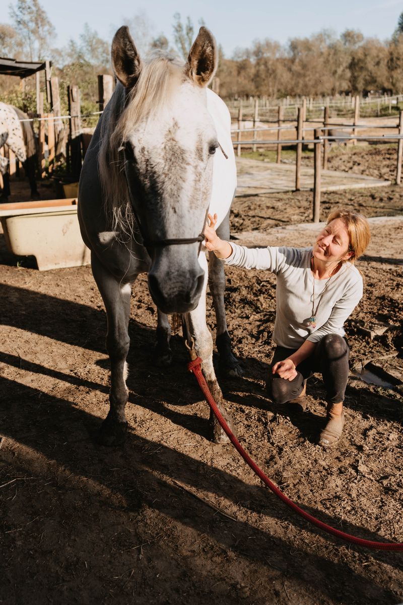 Paardencoach Chloé Deridder