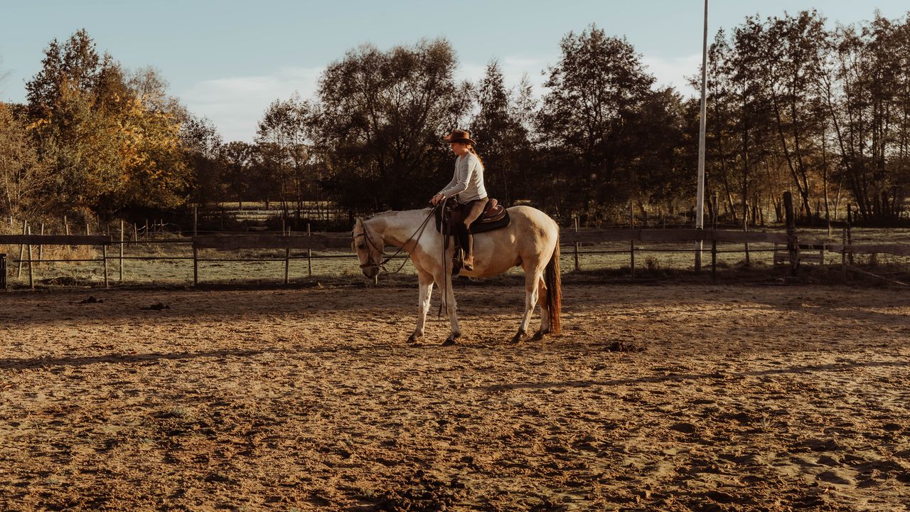Paardencoaching: verbind weer met je paard