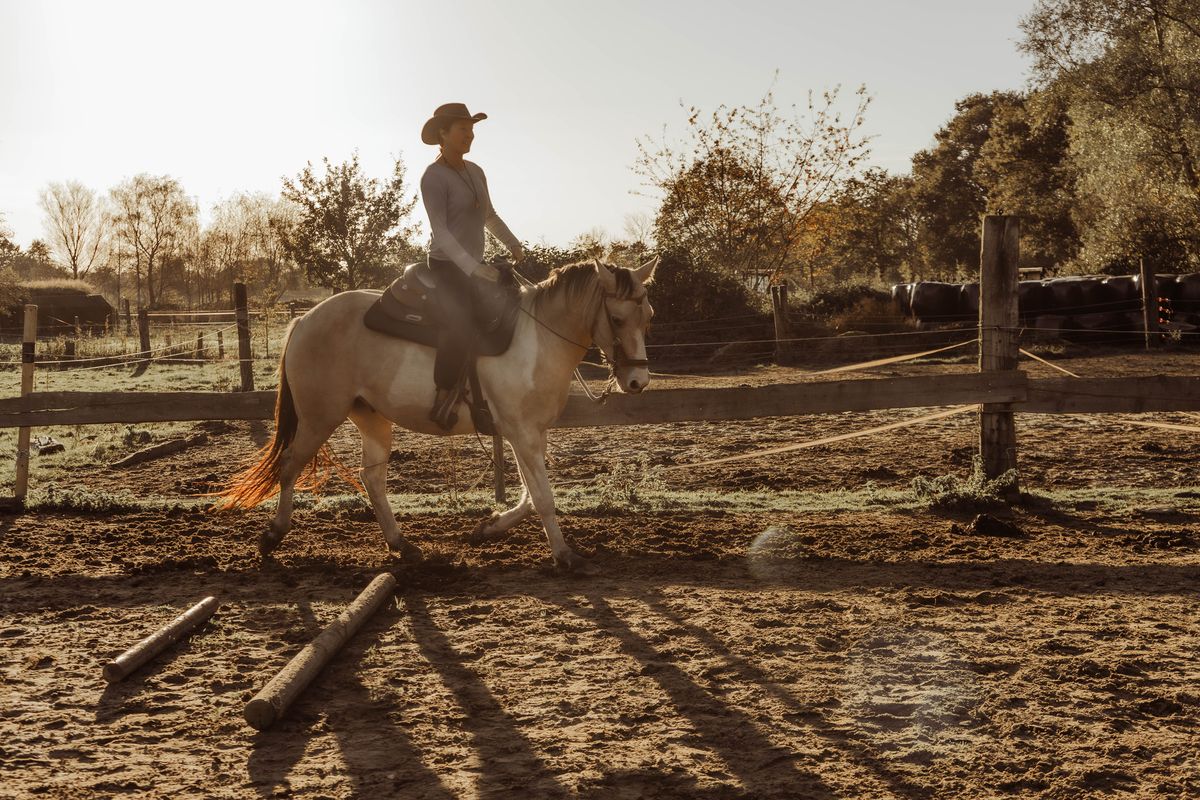Paardencoach Chloé Deridder