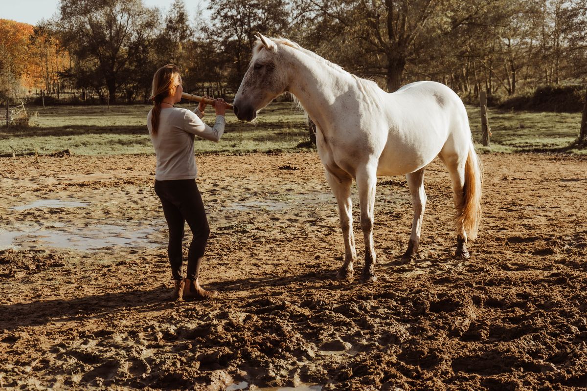 Paardencoach Chloé Deridder
